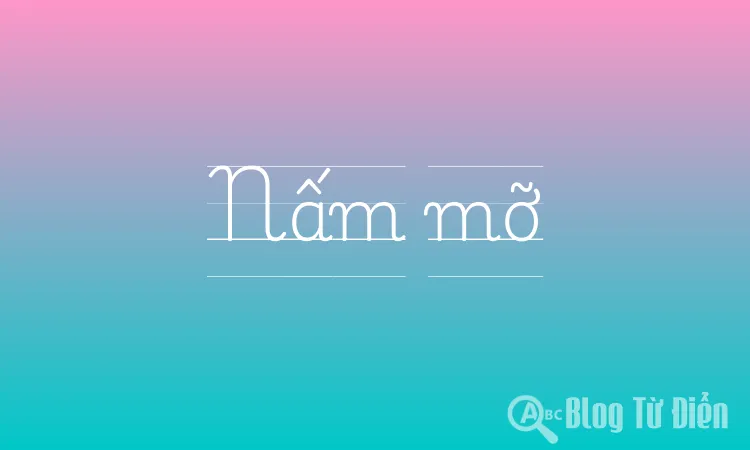 Nấm mỡ