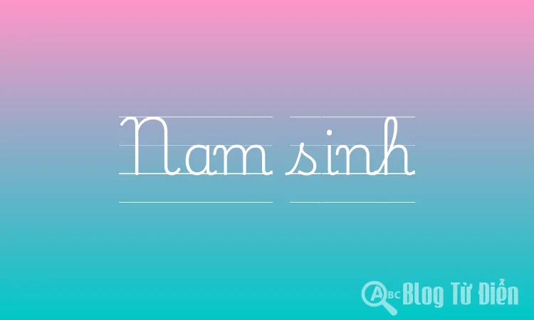 Nam sinh