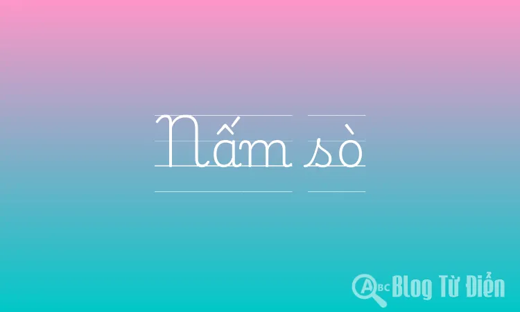 Nấm sò