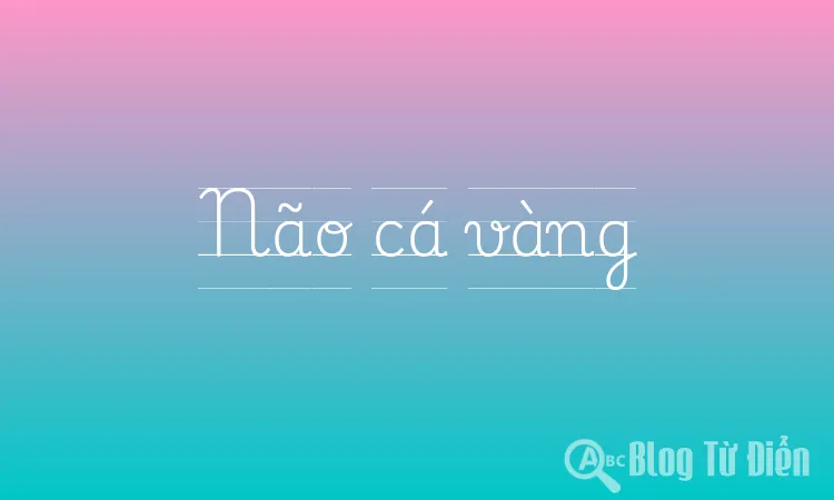 Não cá vàng
