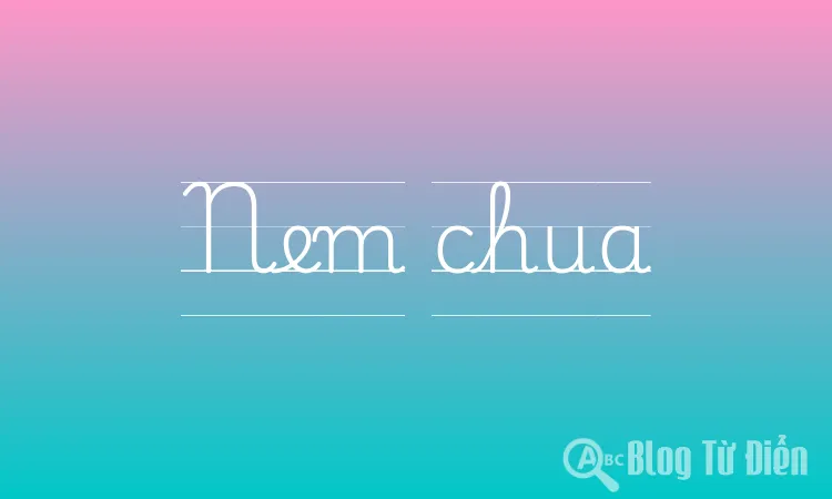 Nem chua