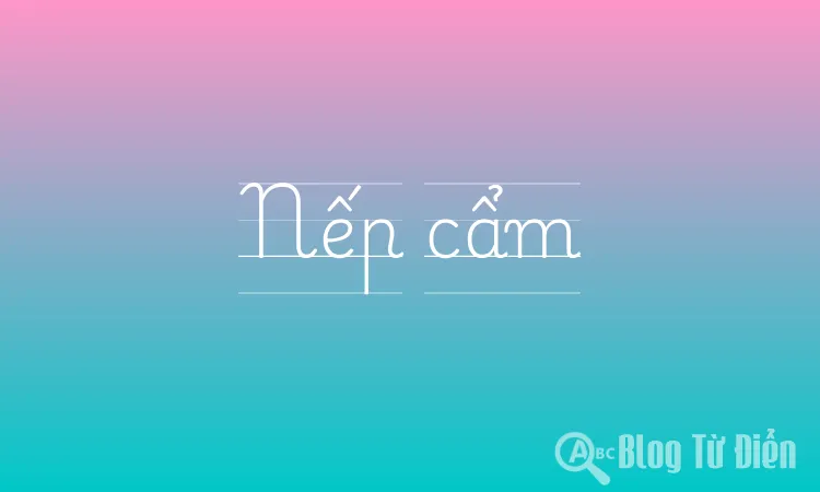 Nếp cẩm