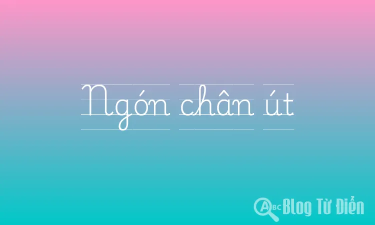 Ngón chân út