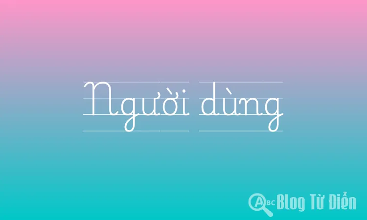 Người dùng
