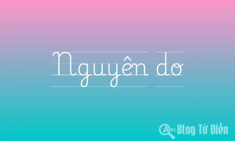 Nguyên do