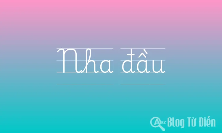 Nha đầu