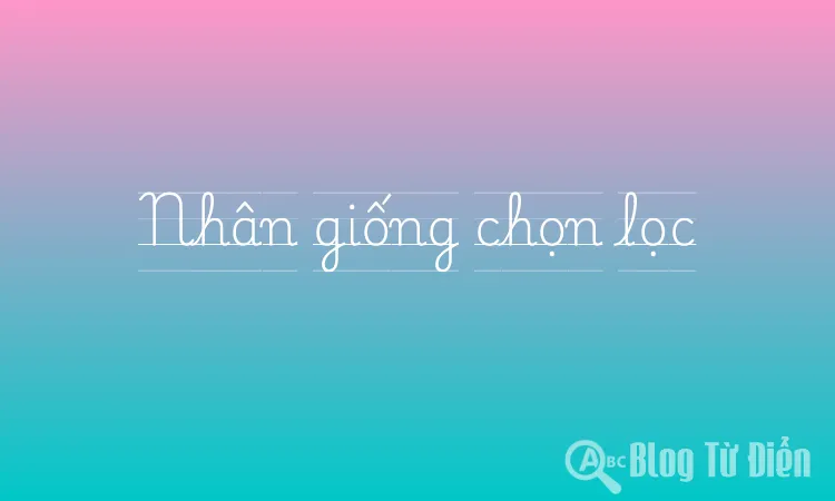 Nhân giống chọn lọc