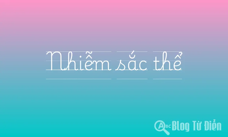 Nhiễm sắc thể