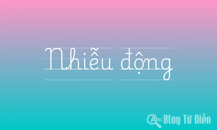 Nhiễu động