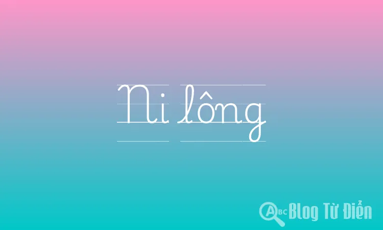 Ni lông