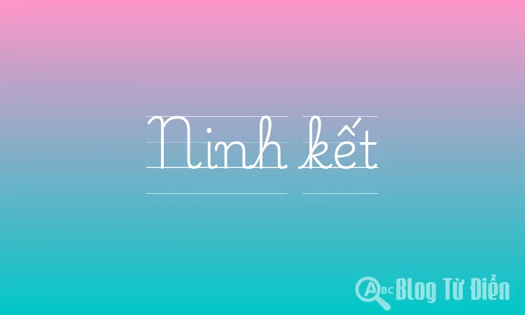 Ninh kết
