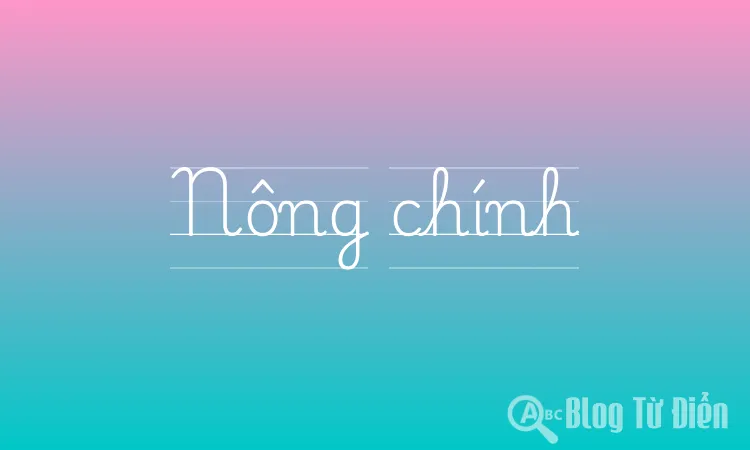 Nông chính