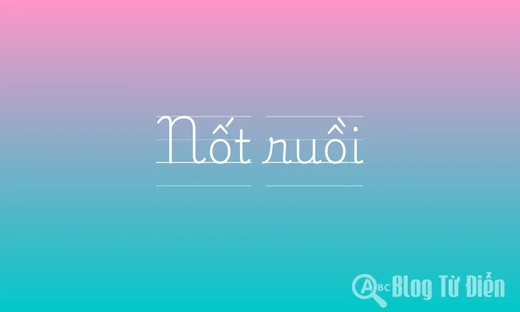 Nốt ruồi