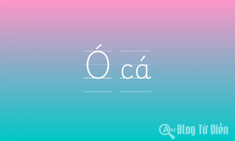 Ó cá