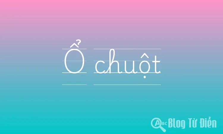 Ổ chuột