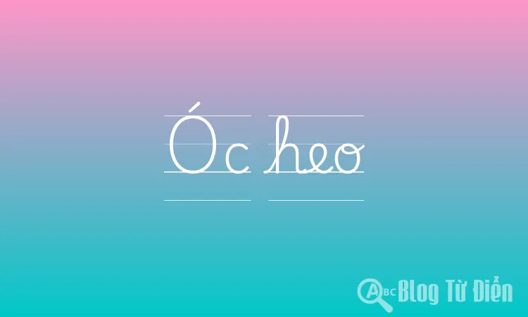 Óc heo