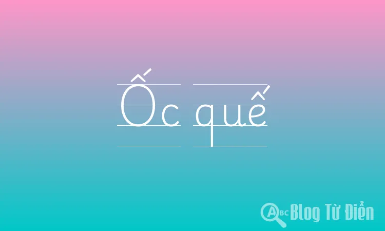 Ốc quế
