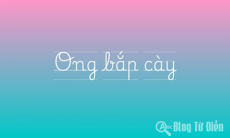 Ong bắp cày