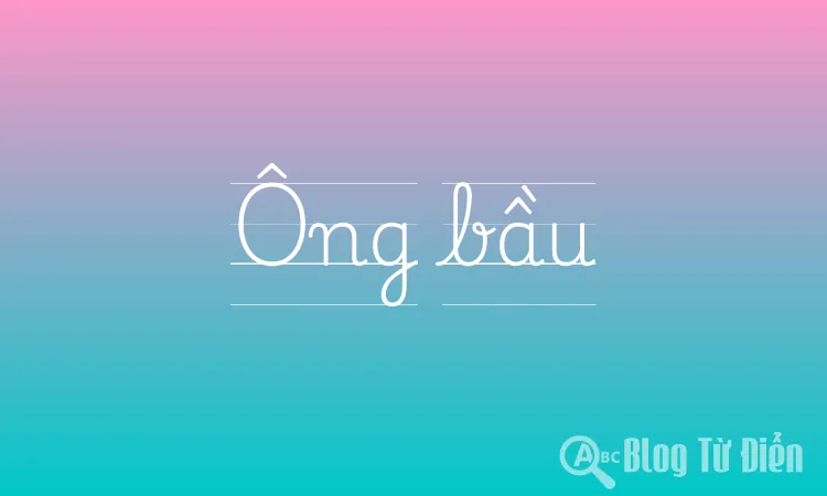 Ông bầu