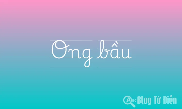Ong bầu
