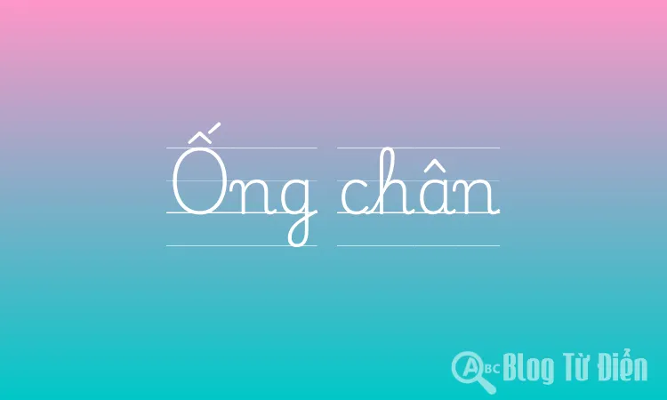 Ống chân