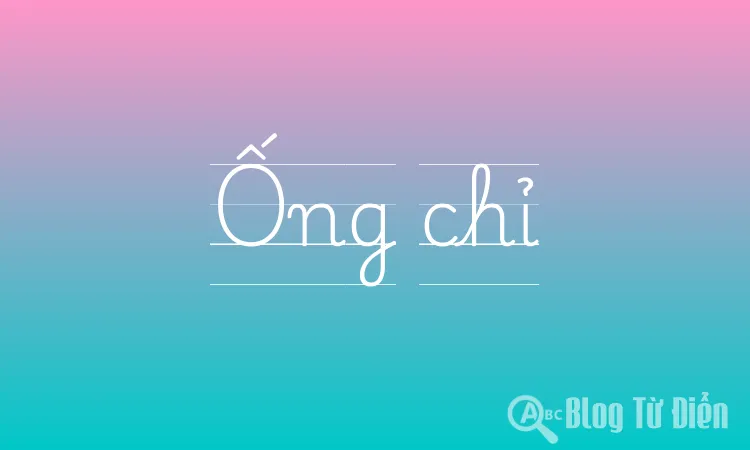 Ống chỉ
