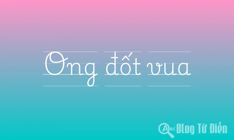 Ong đốt vua
