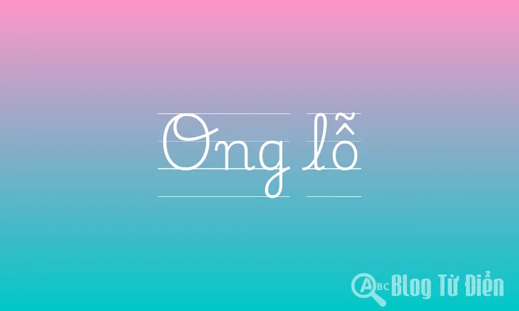 Ong lỗ
