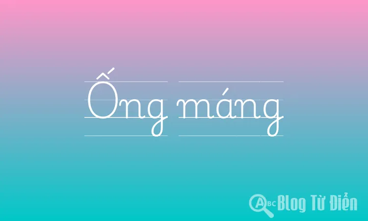 Ống máng