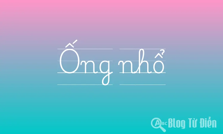 Ống nhổ