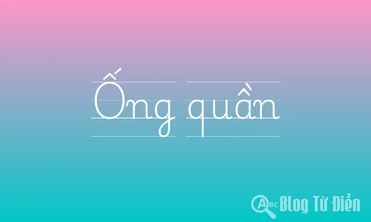 Ống quần