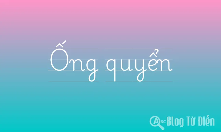 Ống quyển