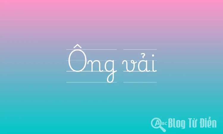 Ông vải