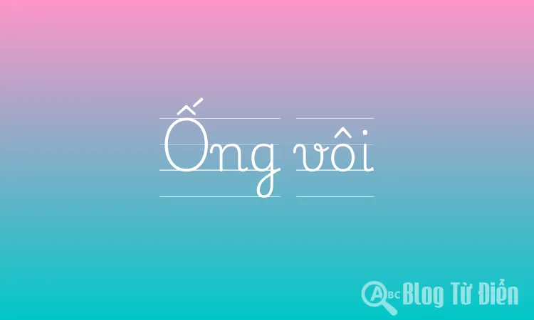 Ống vôi