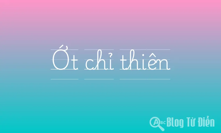 Ớt chỉ thiên