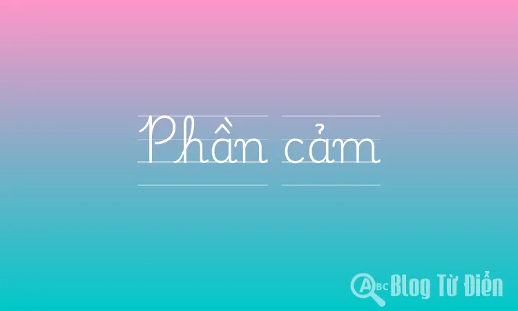 Phần cảm