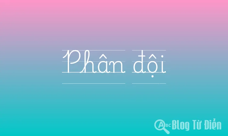 Phân đội