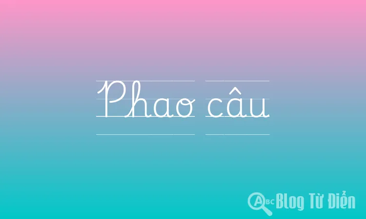 Phao câu