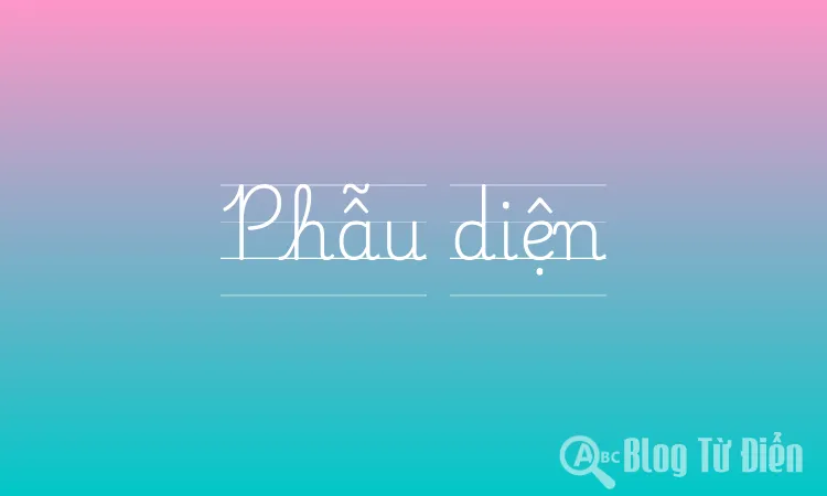 Phẫu diện