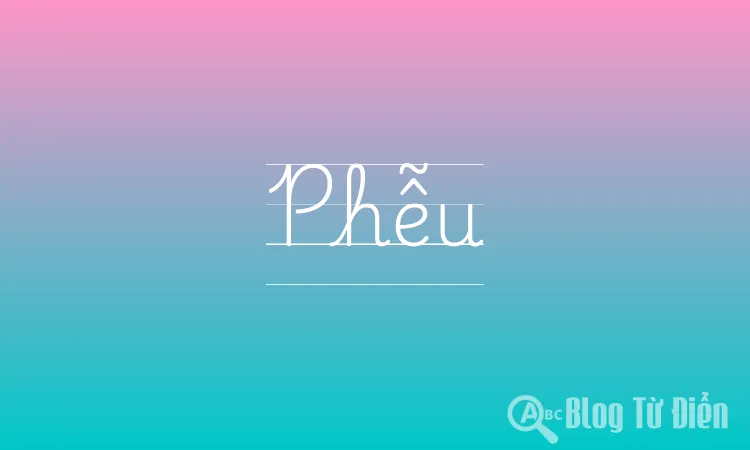 Phễu