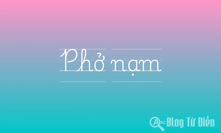 Phở nạm