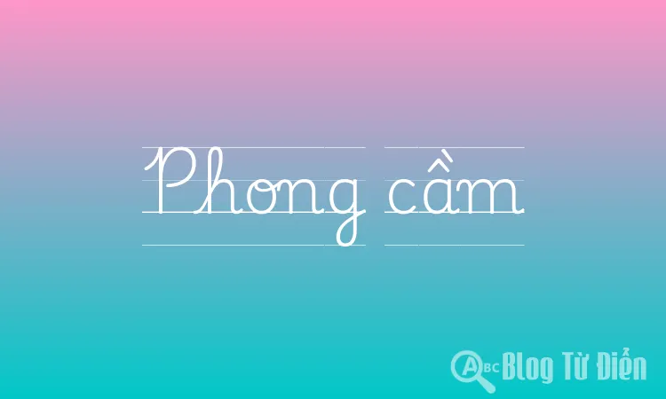 Phong cầm