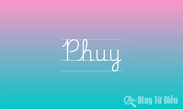 Phuy