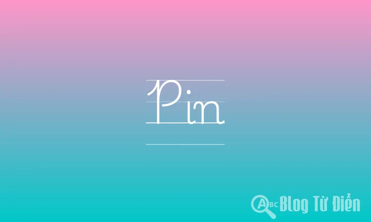 Pin