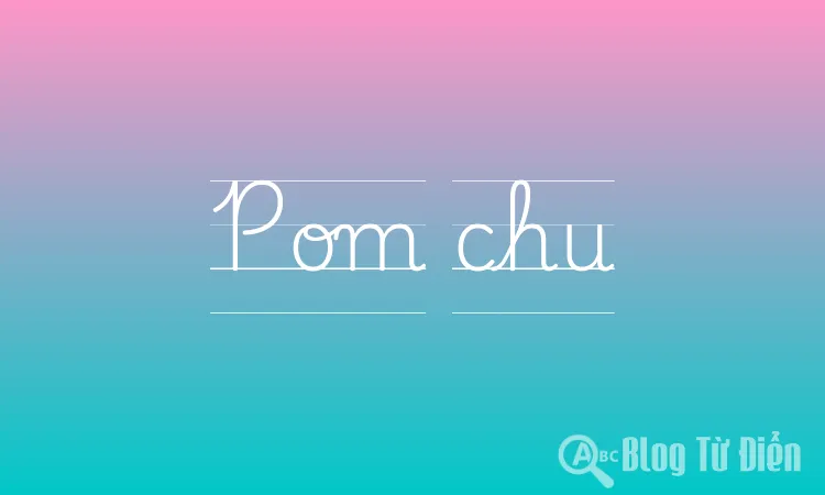 Pom chu