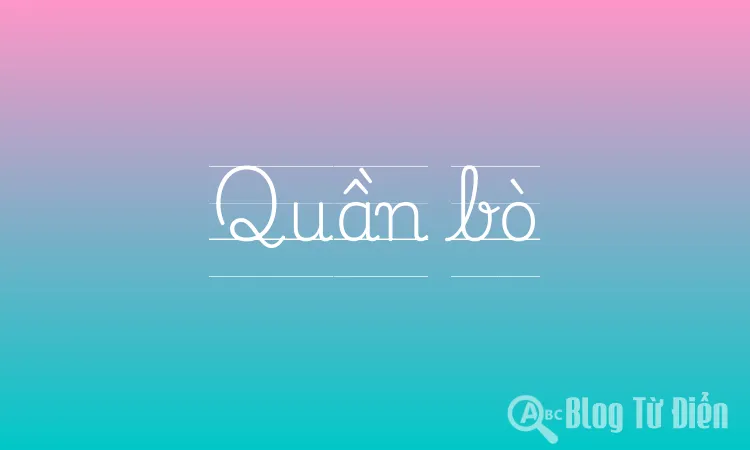 Quần bò
