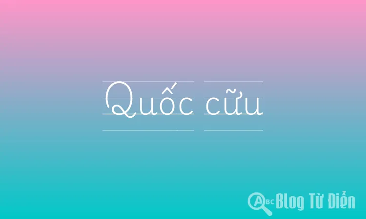 Quốc cữu