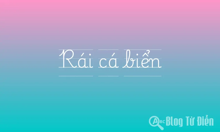 Rái cá biển