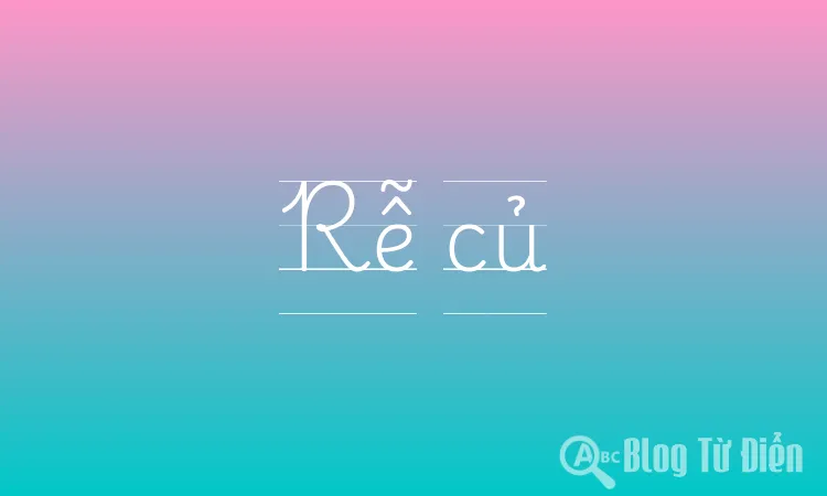 Rễ củ