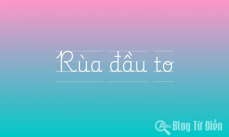Rùa đầu to